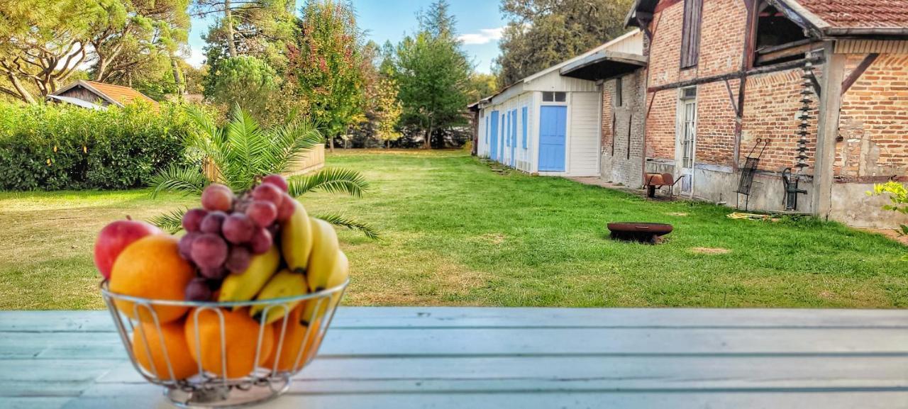 Charmante Maison Dans Les Landes X 10 Avec Piscine Et Salle D Escalade Lue 外观 照片